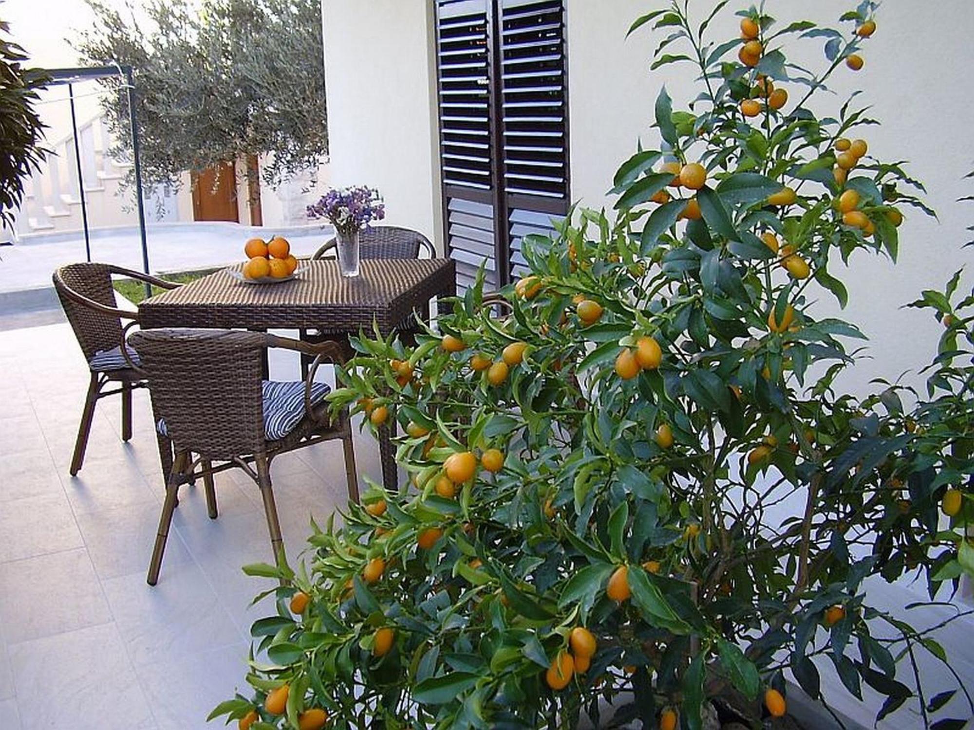 Antares Apartments Cavtat Eksteriør billede